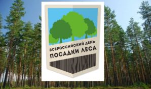 Участниками акции «Всероссийский день посадки леса» стали сотрудники «Балтики-Новосибирск»