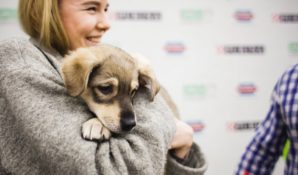 Есенин-центр организует мероприятие в честь Международного дня собаки