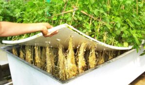 КРЭТ разработал мобильное решение проблемы инфицирования растений в аэропонических теплицах