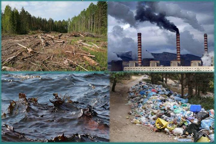 Экологические проблемы волнуют россиян