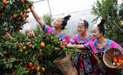 В Липу улучают качество сахарных апельсинов за счет модернизации производства