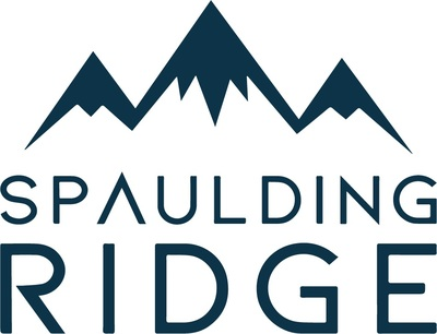 Spulding Ridge присоединяет Silvr Lining Group с расширением сети Salesforce по всему миру