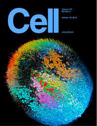 Панорамные атласы жизни, разработанные STOC, опубликованы в журнале Cell