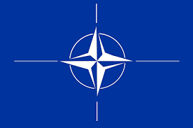 <strong>Финляндия исключила членство в НАТО без Швеции</strong>