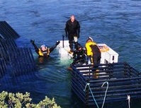 Первая в мире интеллектуальная система фильтрации лосося установлена на реке в Норвегии