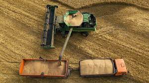 <strong><br>В Минсельхозе сообщили, что аграрии России собрали 147,5 млн тонн зерна</strong>