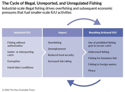 Исследование: в мировой рыболовной отрасли ежегодно погибает более 100 000 человек