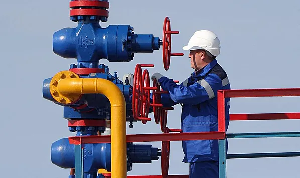В Австрии заявили, что доля газа из России в импорте страны занимает до 50%