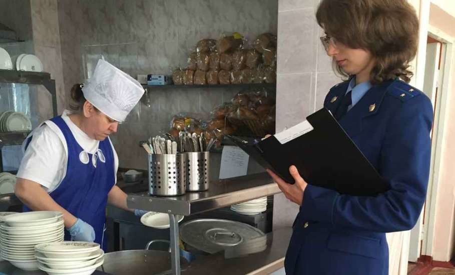 Школьный обед с неприятным бонусом: ярославского поставщика накажут за продукты с кишечной палочкой