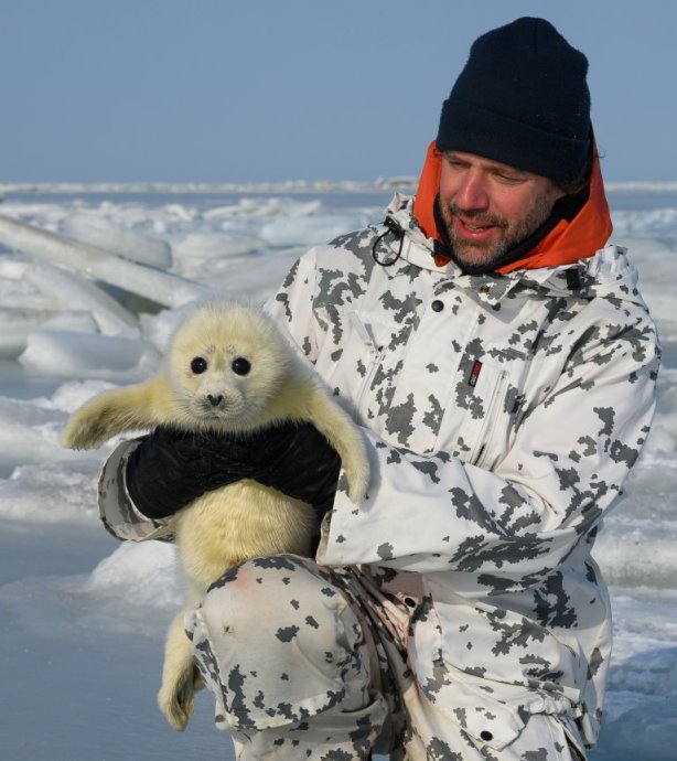 О причинах исчезновения каспийских тюленей рассказала основатель CSRRC Асель Тасмагамбетова￼