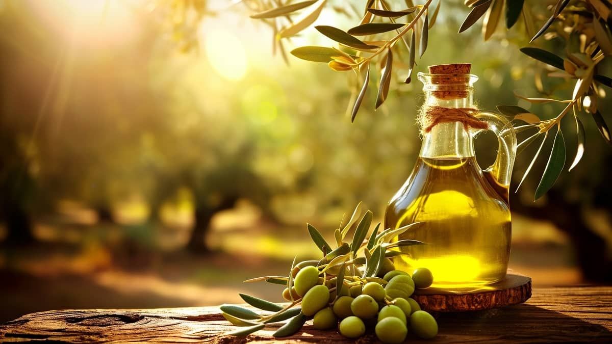 زيت الزيتون.. ذهب الطبيعة على مائدتك