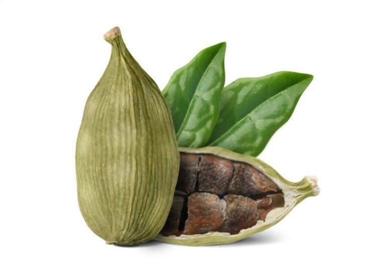 الحبهان (الهيل): كنز الشفاء العطري من بلاد "الواك واك"