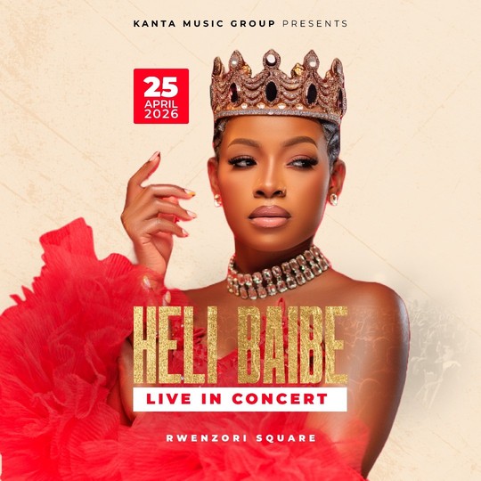 Heli Baibe live in a concert image