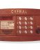 Цифрал CCD-2094.1/Р ЦФРЛ.468369.044: Вызывная панель аудиодомофона