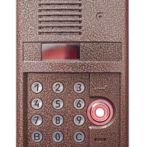 DP300-TDC22 (медь): Блок вызова домофона