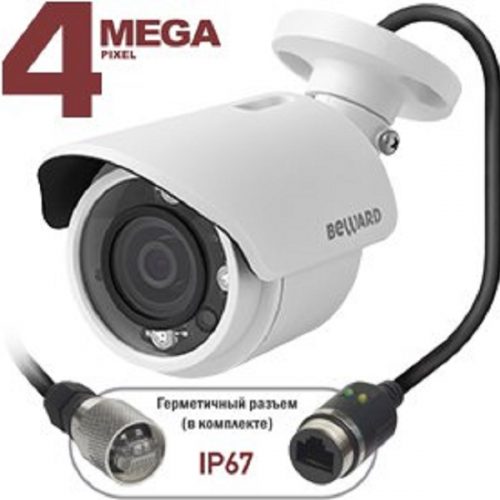 BD4630RC (16 мм): IP-камера корпусная уличная