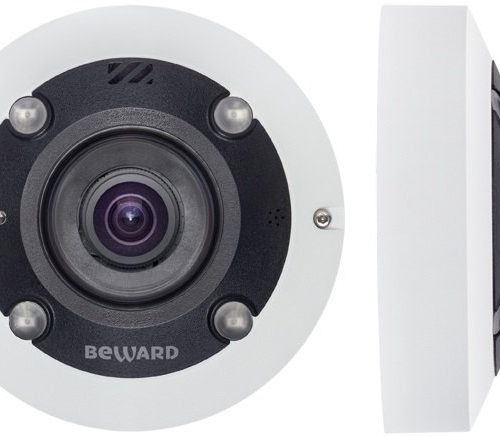 BD3670FL2: IP-камера купольная