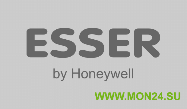 ESSER by Honeywell 586318: Окантовка для вызывной панели типа B
