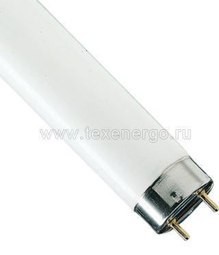 TL-D 36W/33-640 Philips: Лампа люминесцентная
