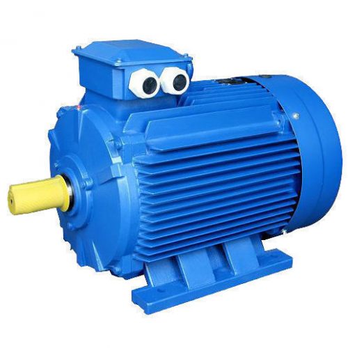 Электродвигатель АИР 100 L8 1,5кВт 750об/мин 1081(лапы)