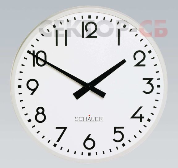 WZN23 SCHAUER Вторичные аналоговые часы
