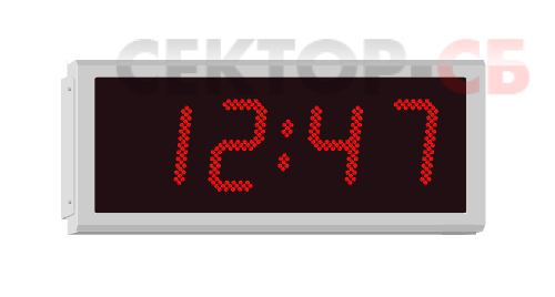 4200NE.170.R.SE.EU WHARTON Влагозащищенные цифровые часы