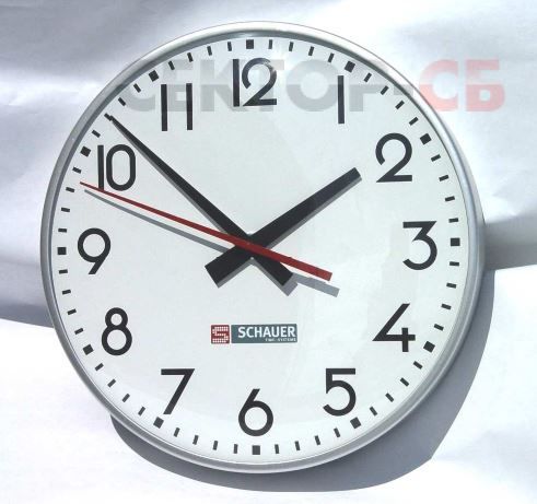 WZN30MSK SCHAUER Вторичные аналоговые часы