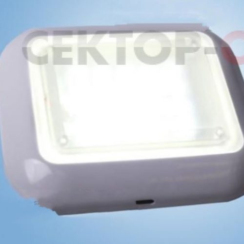 10W-800Lm Светодиодный светильник аварийного освещения