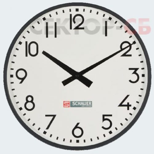 TZTC30 SCHAUER Самоустанавливающиеся стрелочные часы