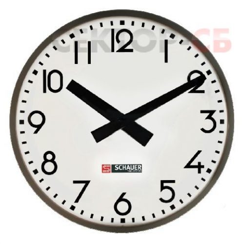 WZN60 SCHAUER Вторичные аналоговые часы