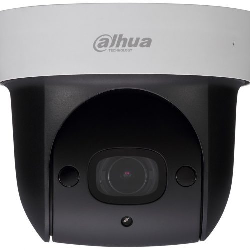 DH-SD29204UE-GN-W: Видеокамера IP поворотная