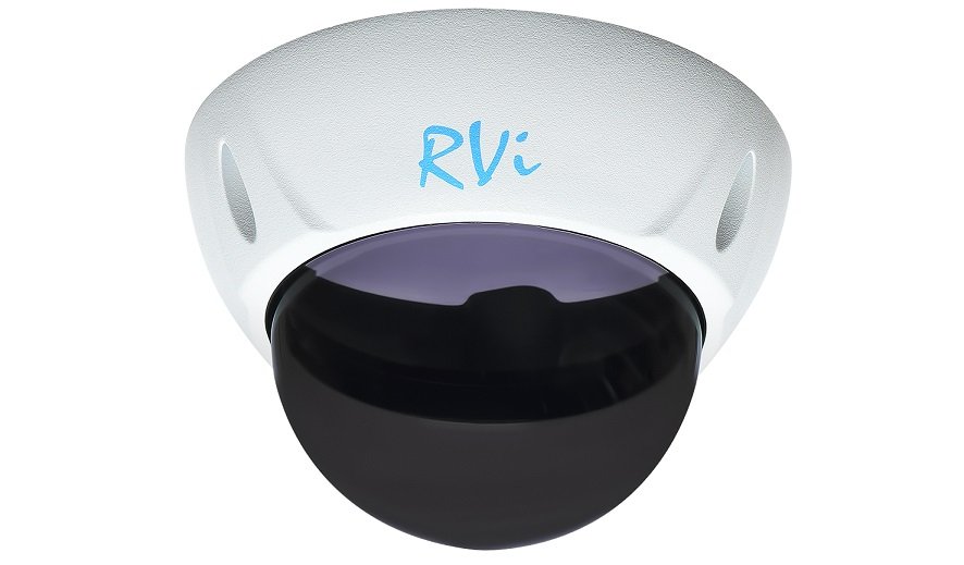 RVi-1DS4w: Тонированный купол с белой рамкой