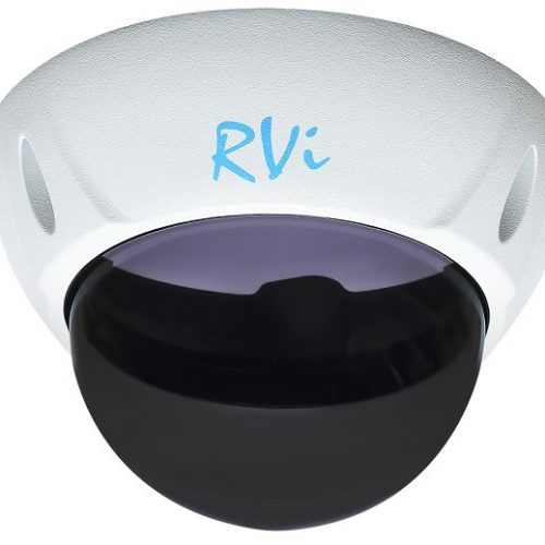 RVi-1DS3w: Тонированный купол с белой рамкой