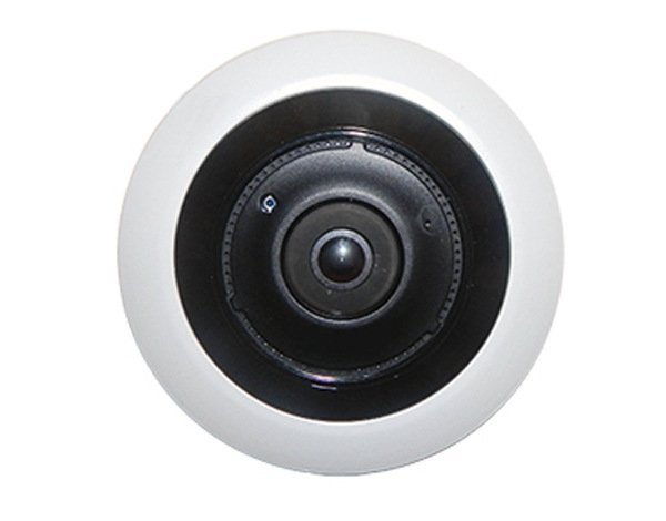 CO-RF51P: Видеокамера IP купольная
