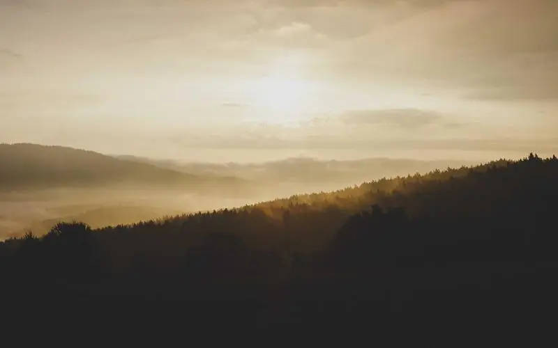 Es ist wieder Zeit für neue Startups! Hier einige ganz junge Startups, die jeder kennen sollte. Heute stellen wir diese Jungfirmen vor: Omnipeak.AI, Terra Fidelis, Scale Energy, TariffPilot und mypaperwork.