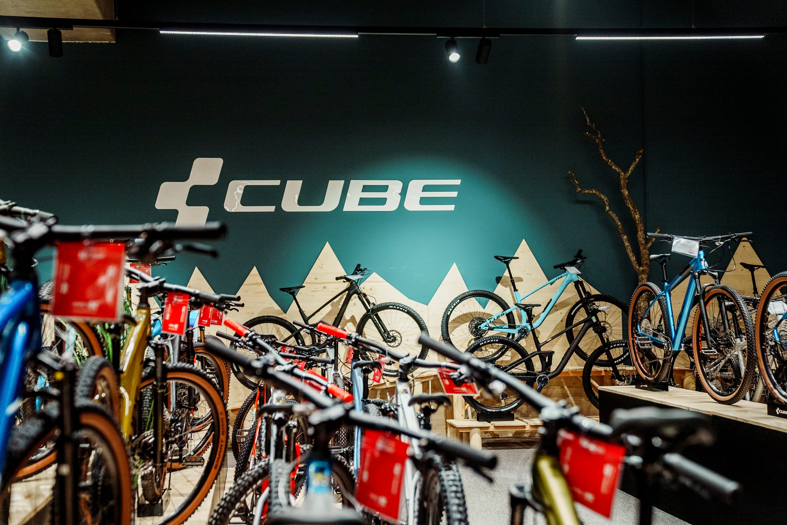 CUBE Store Kassel | Multicycle - Dein CUBE Spezialist