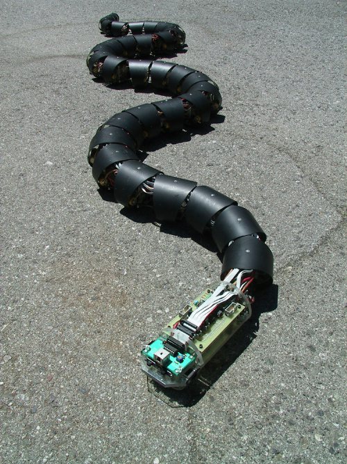 Американские спасатели будут использовать робота в форме змеи