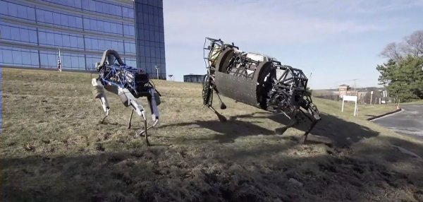 Boston Dynamics похвасталась новым роботом-собакой по кличке Spot