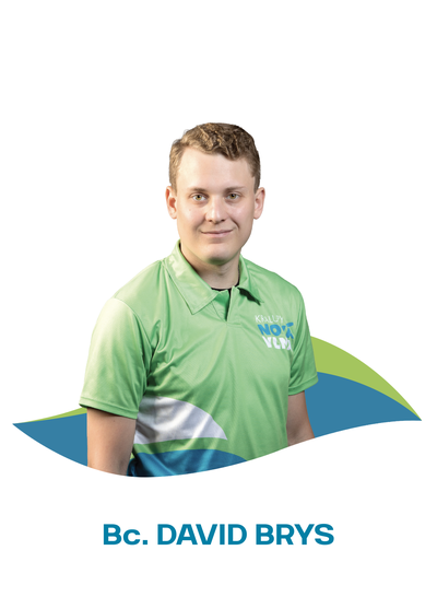 Vlna kandidáti (17)
