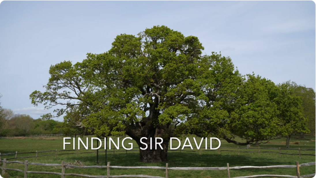 Event image for Finding Sir David