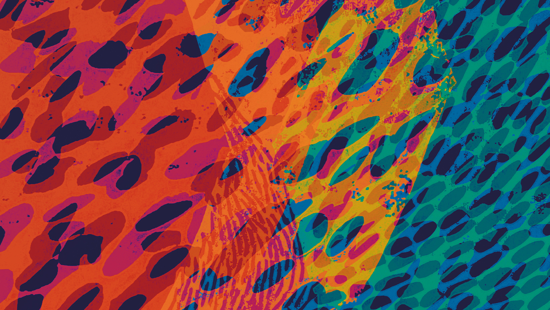 Event image for OOIOO & FUJI||||||||||TA
