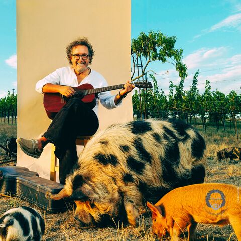 Performance image for babü, Wolkersdorf im Weinviertel