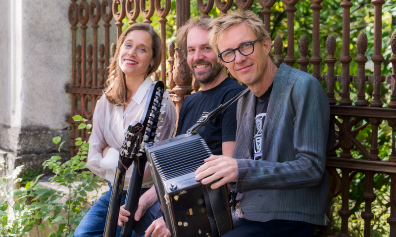 Performance image for Hengl-Haselbrunner, Weingut und Buschenschank Matthias Hengl e.U., Wien