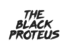 Theblackproteus-logo-black-transparent-web