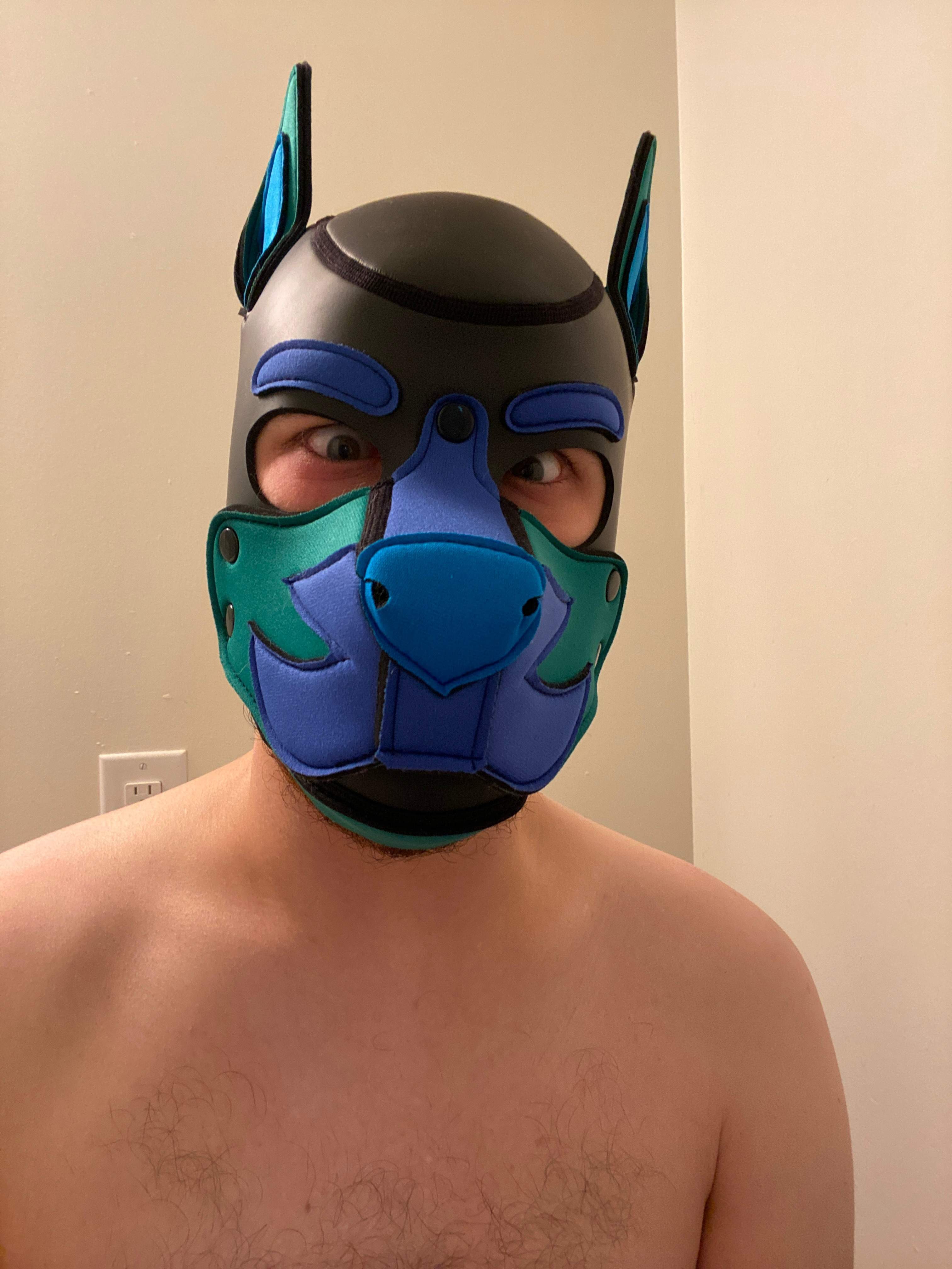 pup_orion