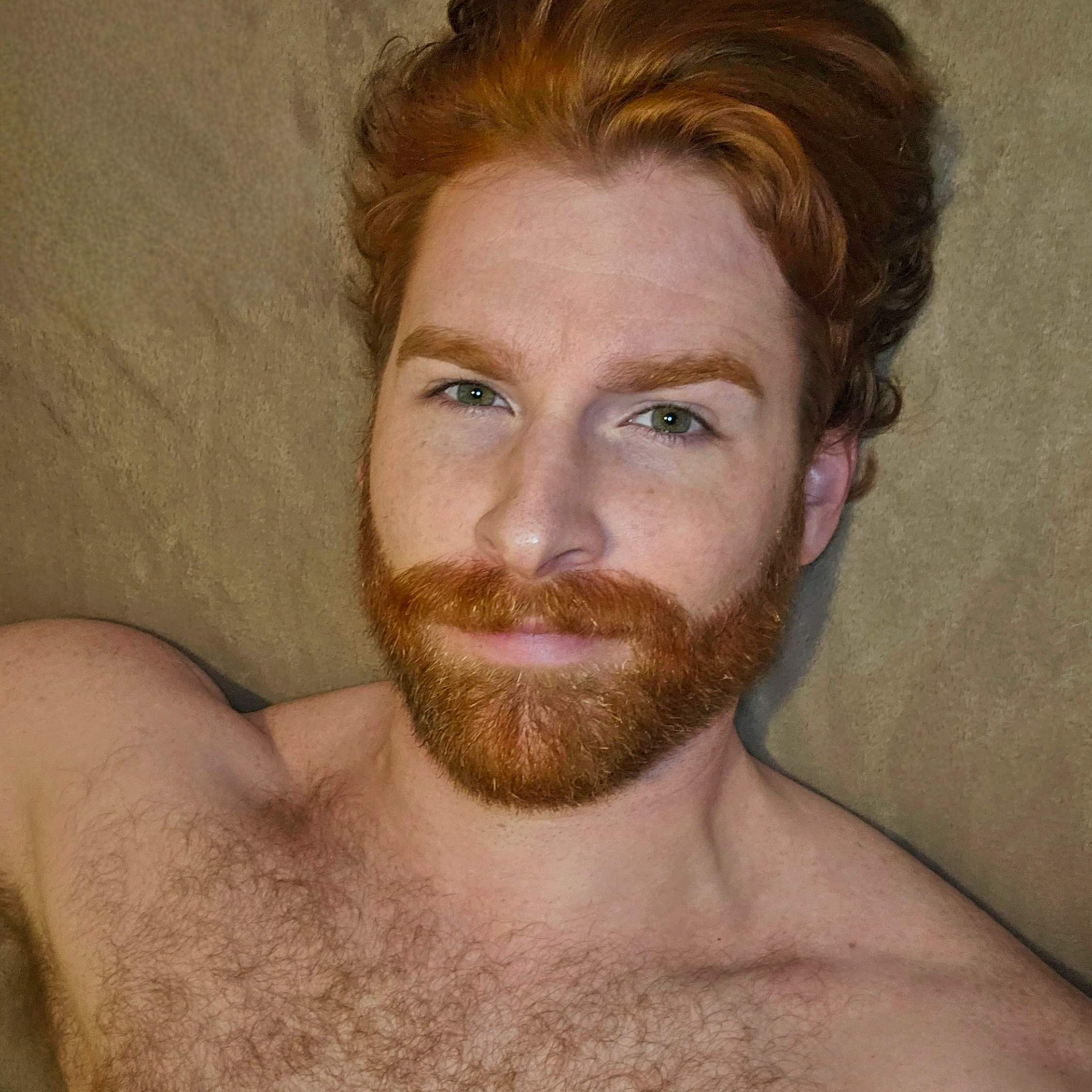 gingerkingfox