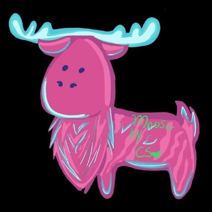 pink_moose