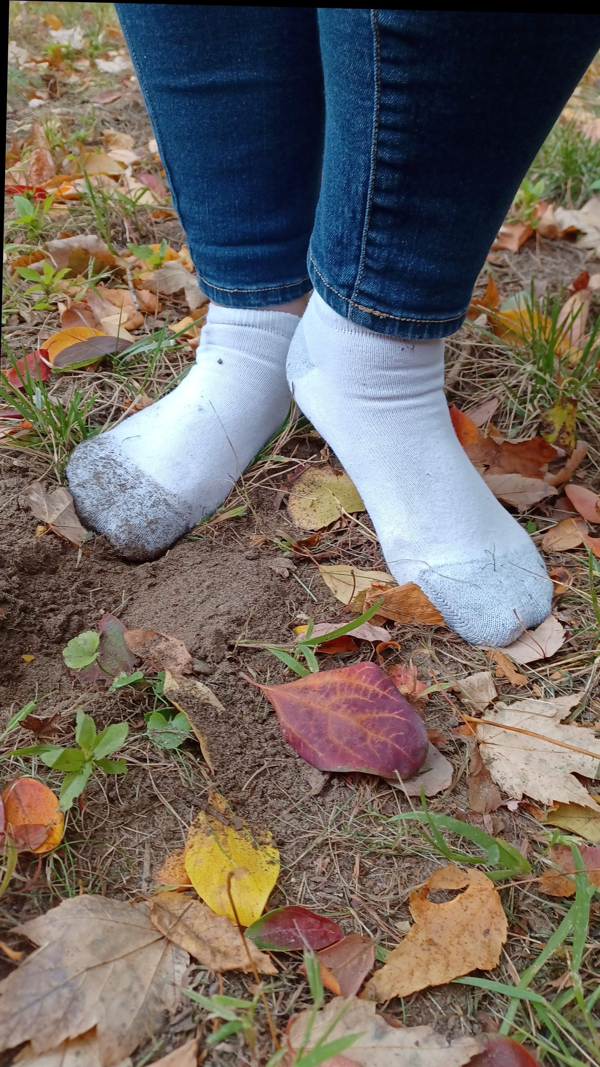 autumnsocks