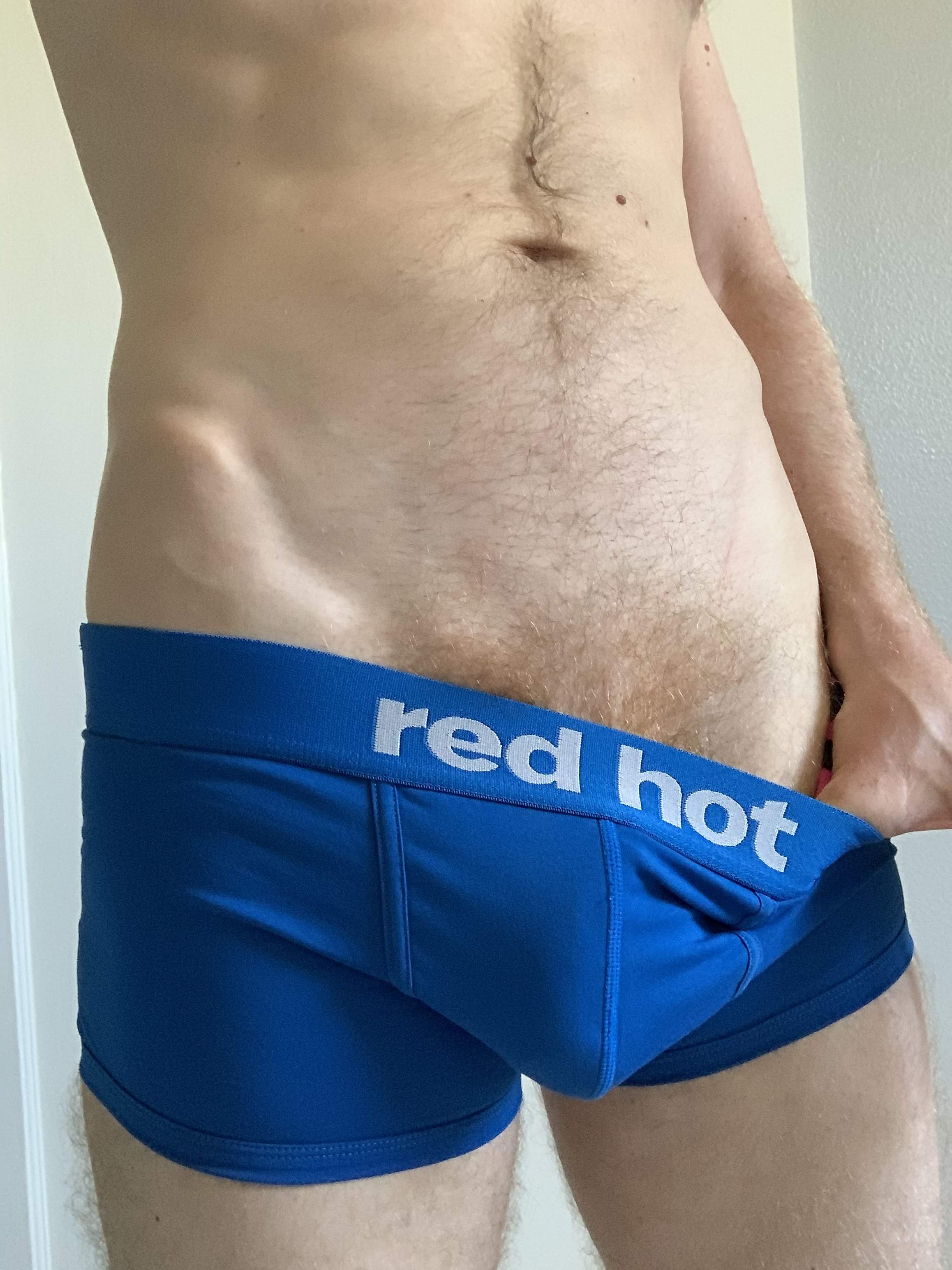 ginger_bulge