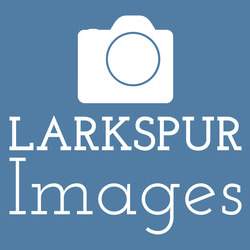 larkspurimages